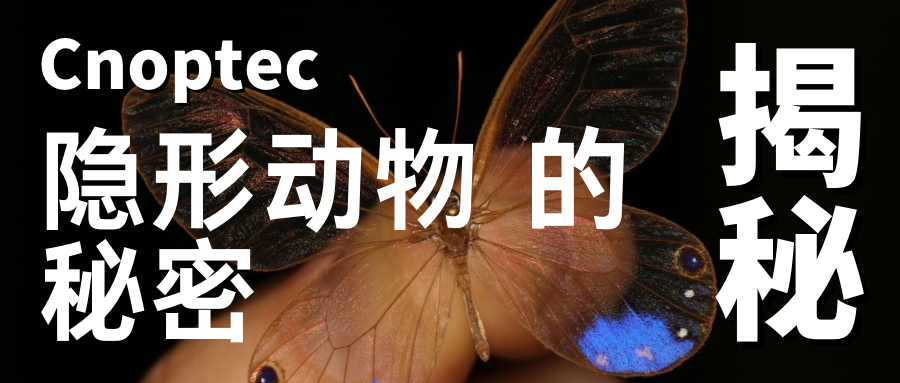 微觀世界：揭示&ldquo;隱形&rdquo;動物的秘密