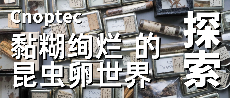 微觀世界：黏糊又絢麗的昆蟲卵世界