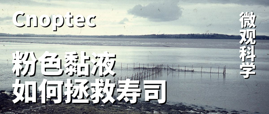 微觀世界：粉紅黏液如何拯救壽司