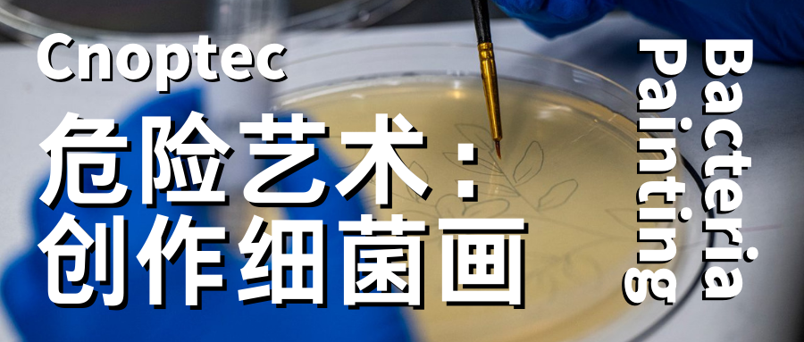 微觀世界：創作細菌畫，一門優雅而危險的藝術